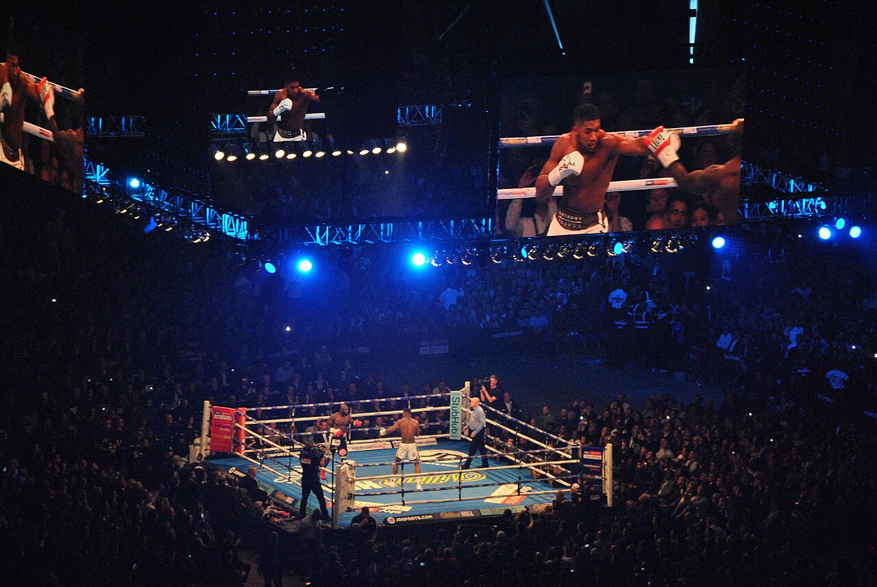 Anthony Joshua in the ring